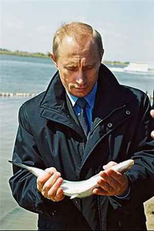 примерное кремлевской диеты
